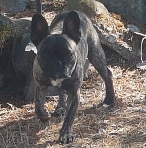 Meet your Posher, Carol